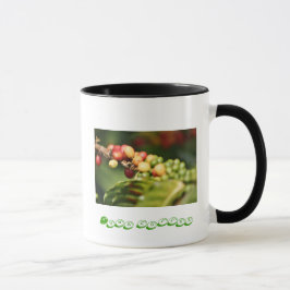 Caneca Café Kona