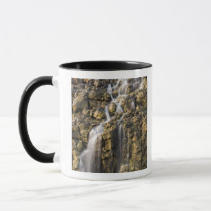 Caneca Cai do cérebro de pedras vulcânicas
