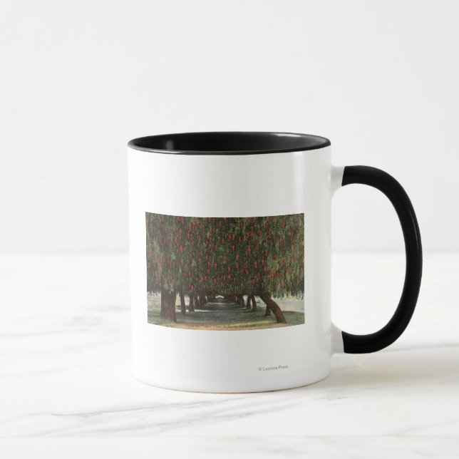 Caneca CaliforniaGroves de Pepper Trees (Direita)