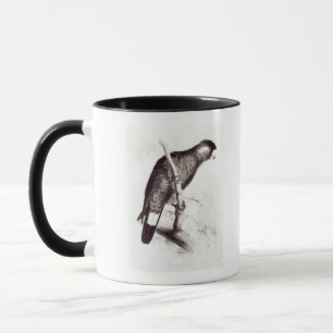 Caneca Calyptorhynchus Baudinii, ou Cockatoo de Baudin