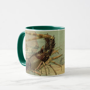 Caneca Camarão, Vida Marinha Subaquática, Animais Marinho