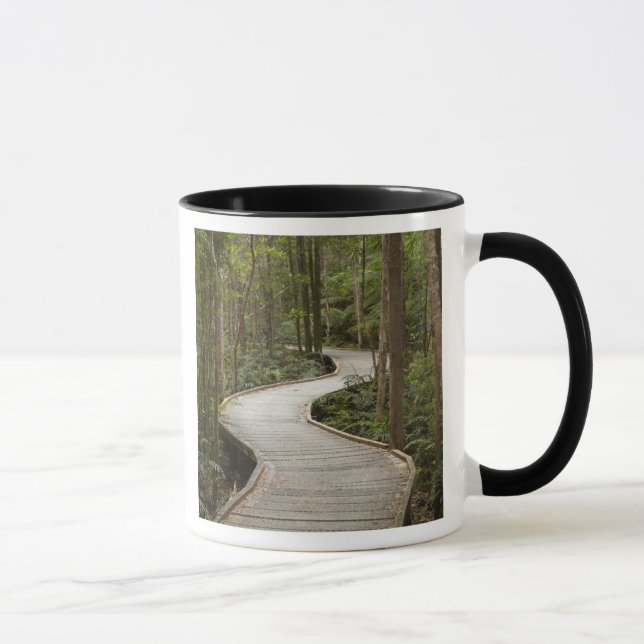 Caneca Caminho de barco para Nelson Falls, Franklin - Gor (Direita)