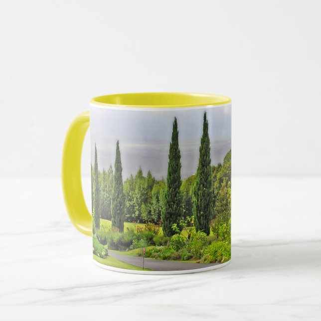 CANECA CAMINHO LIGADO A ÁRVORES CIPRESS (Frente Esquerda)