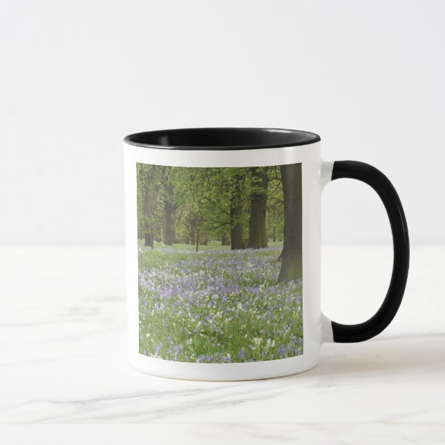 Caneca Campainhas azuis e Carvalhos na Primavera, Little  (Direita)
