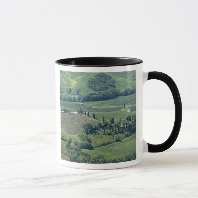 Caneca Campestre perto de Montepulciano, Val d'Orcia, (Direita)