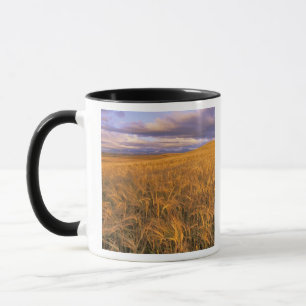 Caneca Campo de cevada madura ao longo das Rochosas