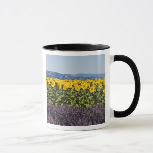 Caneca Campo de girassóis e flores de lavanda,