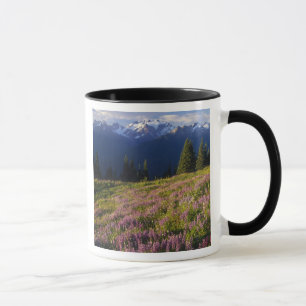 Caneca Campo de lupino, Mt. Olympus, e nuvens em