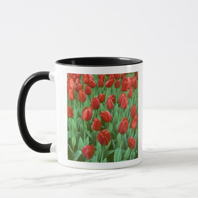 Caneca Campo de tulipas floresce na primavera. (Esquerda)