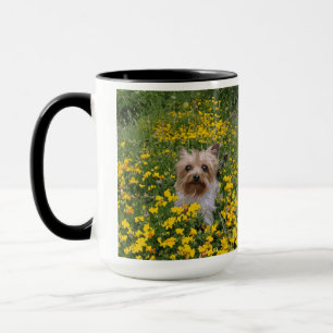 Caneca campo de Yorkshire Terrier