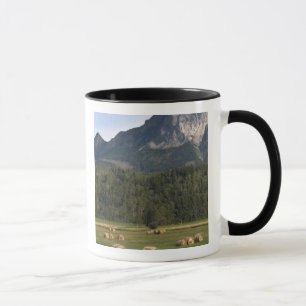 Caneca Campos com feno enfardado, Alberta, Canadá