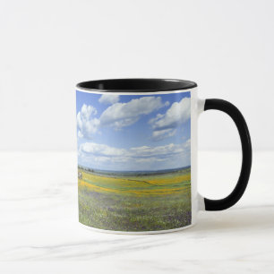 Caneca Campos na primavera perto de Guadalupe