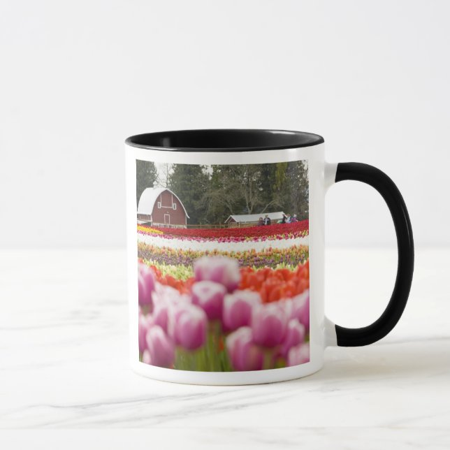 Caneca Campos Tulip do Monte Vernon, Condado de Skagit, W (Direita)