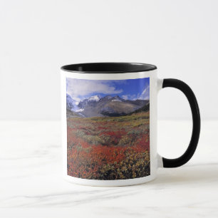 Caneca Canadá, Alberta, Banff NP. Mirtilos fornecem