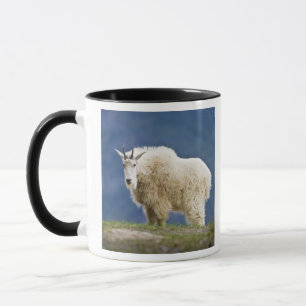 Caneca Canadá, Alberta, Parque Nacional Jasper,