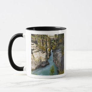 Caneca Canadá, Alberta, Parque Nacional Jasper, Athabasca