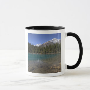 Caneca Canadá, Alberta, Parque Nacional Jasper: JASPER,