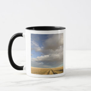 Caneca Canadá, Alberta, Stand Off: Paisagem com