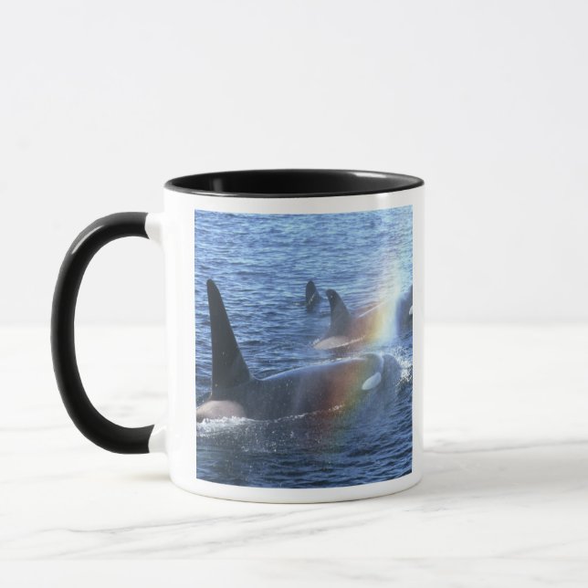 Caneca Canadá, Colúmbia Britânica, Johnstone Straight, (Esquerda)