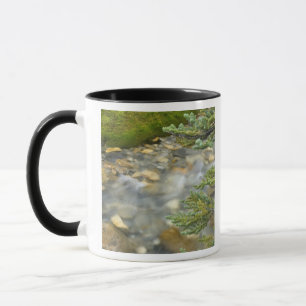 Caneca Canadá, Colúmbia Britânica, Parque Nacional Yoho.