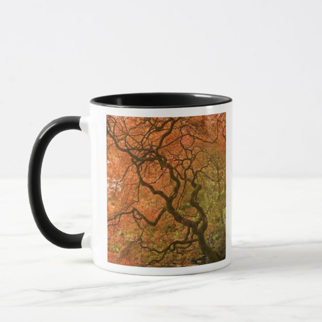 Caneca CANADÁ, Colúmbia Britânica, Vitória. Outono 2 (Esquerda)