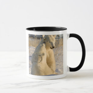 Caneca Canadá, Manitoba, Baía de Hudson, Churchill.