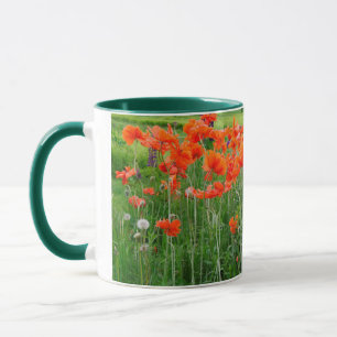 Caneca Canadá, Novo Brunswick, . Paisagem
