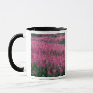 Caneca Canadá, Quebec, Gaspe. Flores Roxas de Lythrum,