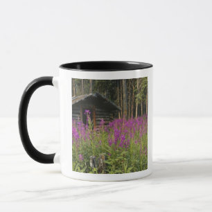 Caneca Canadá, Yukon, área de Ross River, Cabana abandona