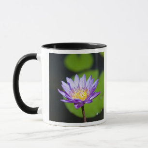 Caneca Cancun, México