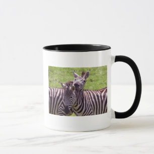 Caneca caneca-zebra