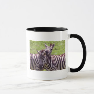 Caneca caneca-zebra