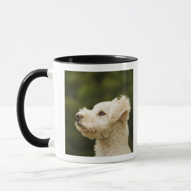 Caneca Caniche 2 (brancos) (Esquerda)