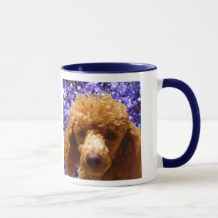 Caneca Caniche bonito