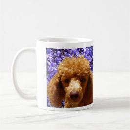 Caneca Caniche bonito