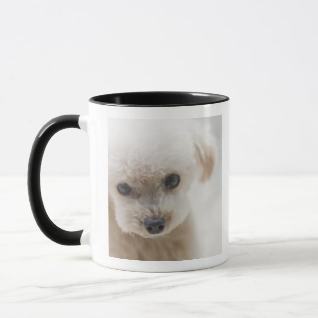 Caneca caniche de brinquedo (Esquerda)
