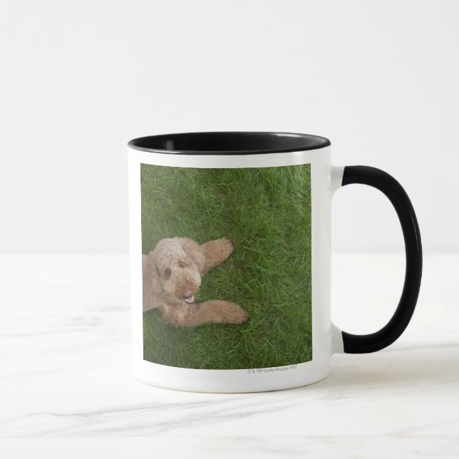 Caneca caniche padrão 2 (Direita)
