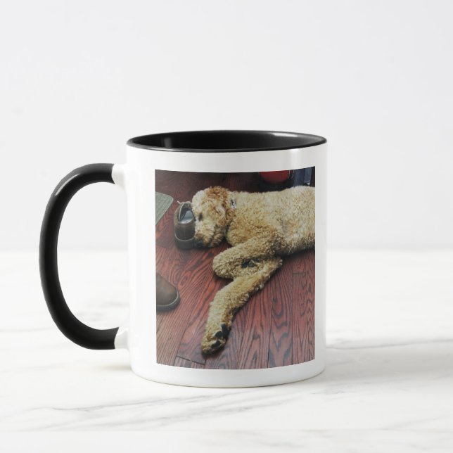 Caneca Caniche padrão que dorme no assoalho (Esquerda)