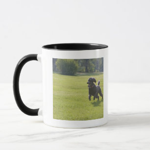 Caneca Caniche que joga o frisbee