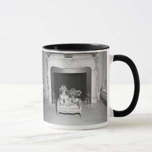 Caneca Caniches diminutas que sentam-se na frente da
