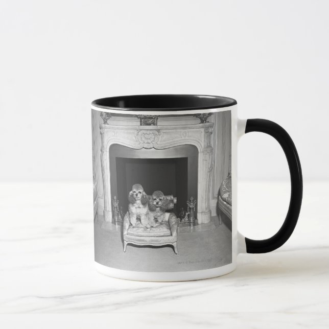 Caneca Caniches diminutas que sentam-se na frente da (Direita)