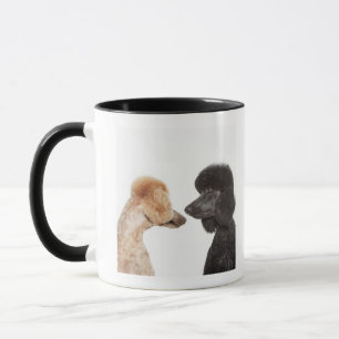 Caneca Caniches que examinam-se