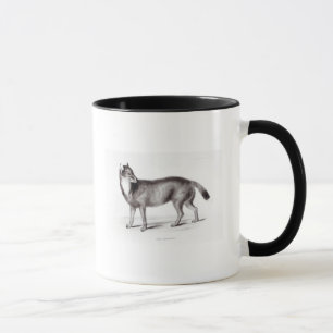 Caneca Canis Antarcticus