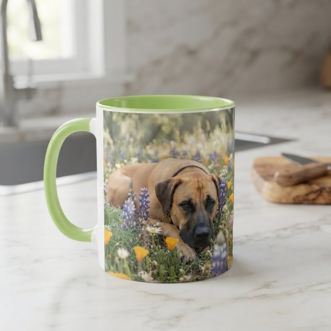 Caneca Cão Black Mouth Cur (Criador carregado)