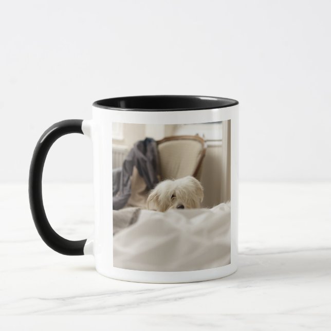 Caneca Cão branco que esconde atrás da cama (foco (Esquerda)