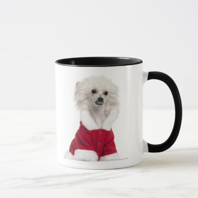 Caneca Cão com crista chinês (bebê de um ano) que veste a (Direita)