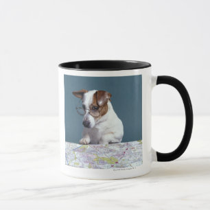 Caneca Cão com vidros de leitura que estuda o mapa