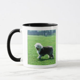 Caneca Cão de carneiros inglês velho
