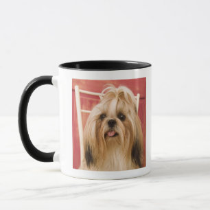 Caneca Cão de Shih-tzu