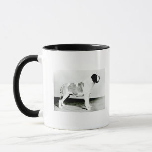 Caneca Cão de St Bernard
